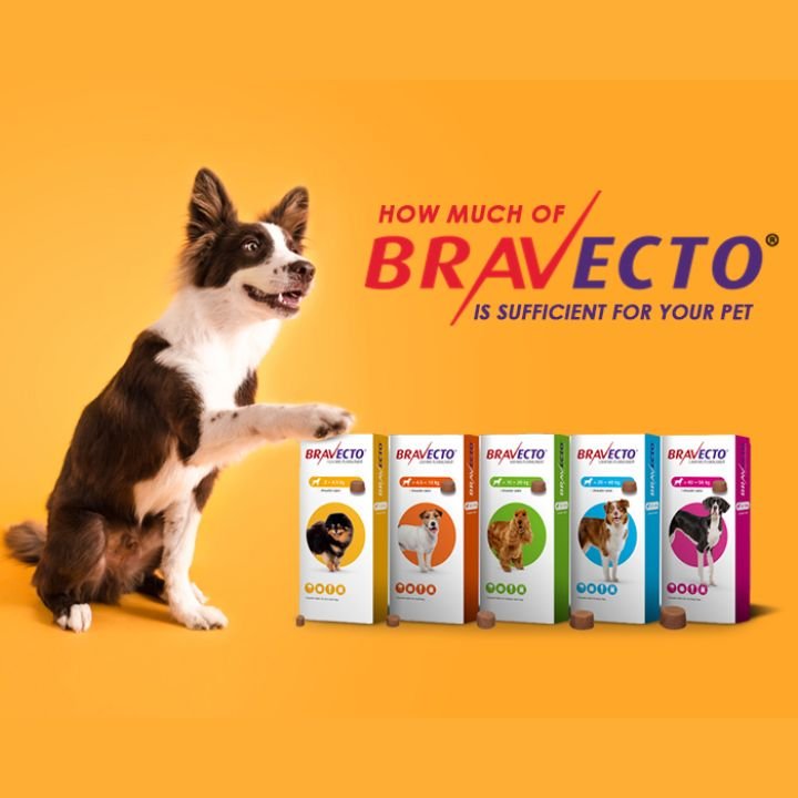 Bravecto for Dogs